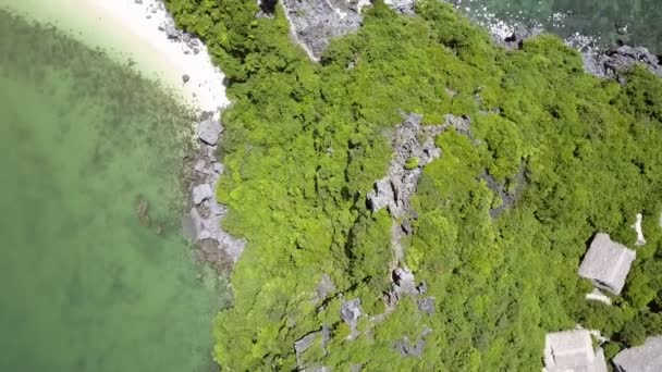 Cresta de la colina isla con bosque — Vídeos de Stock