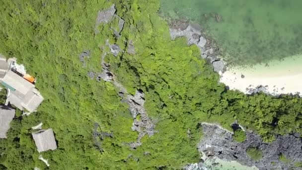 Ilha rochosa coberta com selva selvagem — Vídeo de Stock