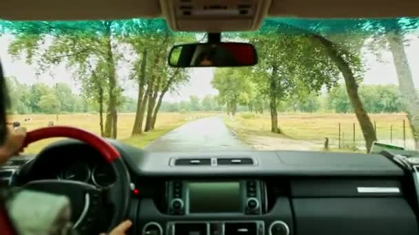 雨の中で農村地域における木の中で濡れた道路に沿って黄金の手首の時計ドライブ外国車とブルネットの女性 — ストック動画