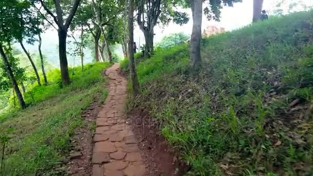 Person Walks Stone Path Leading Religious Old Temple Tropical Forest — Stock Video