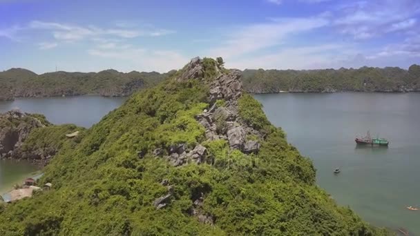 Mountain with tropical plants and girl making selfie — Stock Video