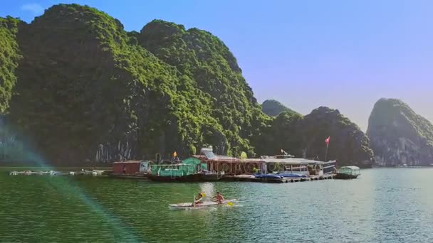 Paar in kajak, zeilen in de baai van de Oceaan — Stockvideo