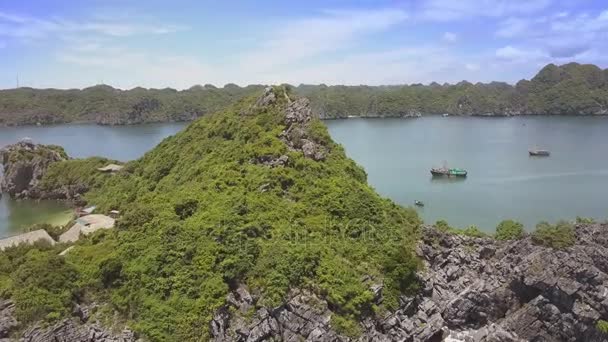 Cima dell'isola con rocce e foresta — Video Stock