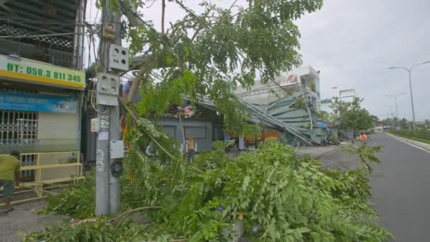 破壊された建物によって 日ニャチャンで Damrey の破壊的なハリケーンのひどい結果として木の枝を離れて壊れたダウン カット ニャチャン Vietnam 2017 — ストック動画