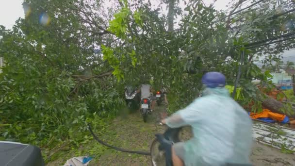 ニャチャン Vietnam 2017 市民ドライブ オートバイの木の下に落ちて電線 月ベトナムで破壊的な台風後 のニャチャン — ストック動画