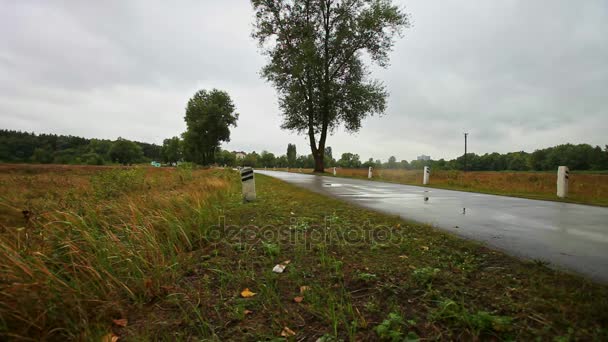 Motorbike Speeds Wet Asphalt Road Road Posts Yellow Fields Big — Stock Video