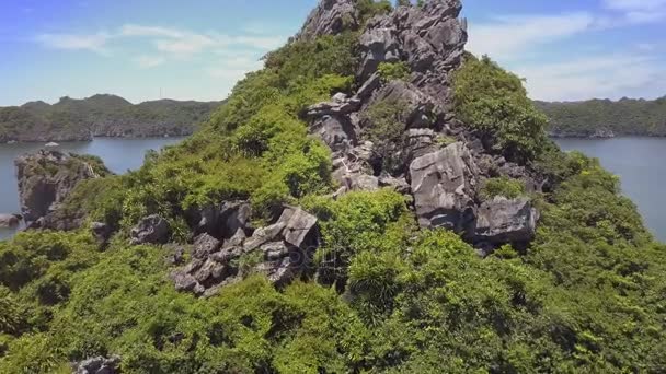 Bergtop bedekt met oerwoud en meisje — Stockvideo