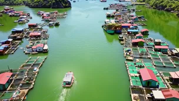 Vietnam Augusti 2017 Fantastisk Flygfoto Turist Fartyget Seglar Längs Flytande — Stockvideo