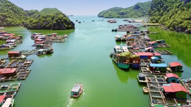 ベトナム 2017 上部パノラマ幻想的な紺碧の海湾観光船および明確な空と丘に対して浮動村農場 — ストック動画