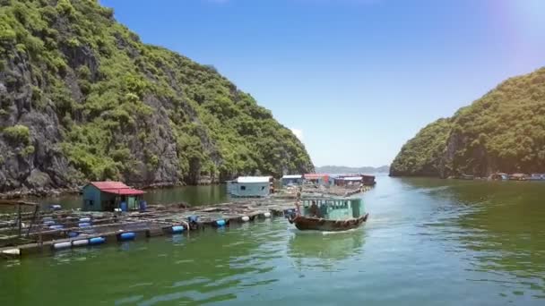 青い空を背景に緑の島々 過去長い浮動村農場に沿って船首帆の女の子とベトナム 2017 航空写真ビュー観光船 — ストック動画
