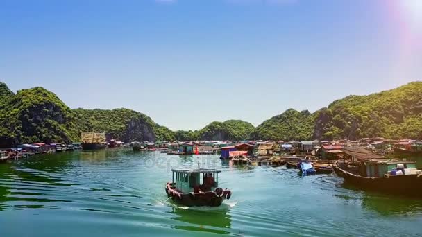 Vietnam August 2017 Drohne Zeigt Großes Schwimmendes Dorf Mit Bauernhöfen — Stockvideo