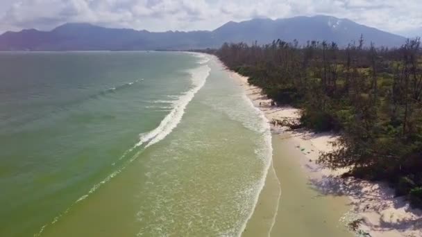 flycam se déplace au-dessus du surf des vagues et la personne marche le long de la plage de sable près des plantes tropicales sous les rayons du soleil 