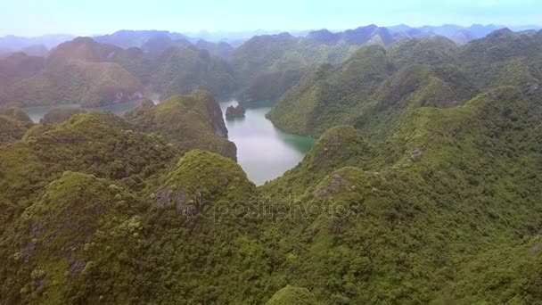 Panorama Aéreo Sin Fin Famoso Long Islas Verdes Bahía Fiordos — Vídeo de stock