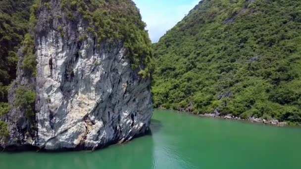 Drone Blíží Vysoké Kopce Pokryté Rostlin Tyčící Nad Zelené Klidné — Stock video