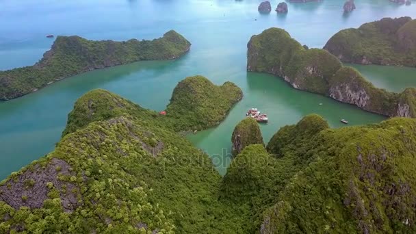 Amazing Aerial View Narrow Winding Long Bay Rocky Green Shores — Stock Video