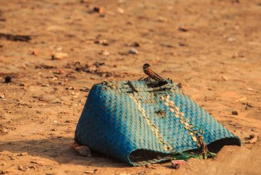 closeup mavi kirli kayıp kırık yırtık plastik hasır çanta yere gölge parlak güneş ışığı yapar.