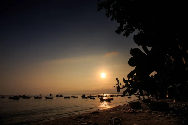 Vietnamese fishing boat silhouettes in sea at sunset against bright sun disk on foreground plant silhouette on beach