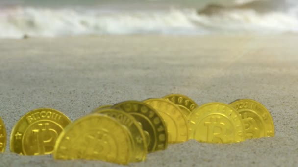 Macro Bitcoin Modelos Reais Ficar Costelas Areia Como Cerca Praia — Vídeo de Stock