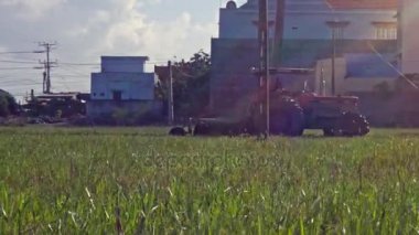 Nha Trang/Vietnam - 26 Kasım 2017: vasıflı işçi sürücüler traktör sürme pirinç alan 26 Kasım Nha Trang içinde güneş binalar karşı kavurucu altında kuş uçan arasında