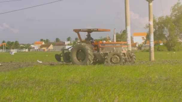 Nha Trang Єтнам Листопада 2017 Трактор Драйвер Плуги Поле Водою — стокове відео