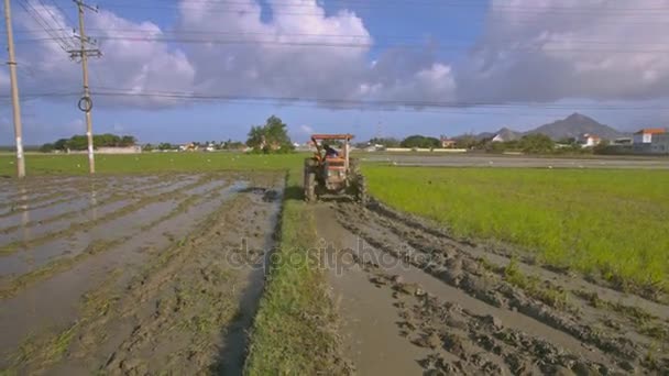 Nha Trang Vietnam Novembro 2017 Arados Trator Colhidos Campo Arroz — Vídeo de Stock