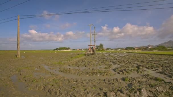 Traktor Eltávolítja Kamera Vezetés Rizs Mező Szántás Talaj Mentén Kék — Stock videók