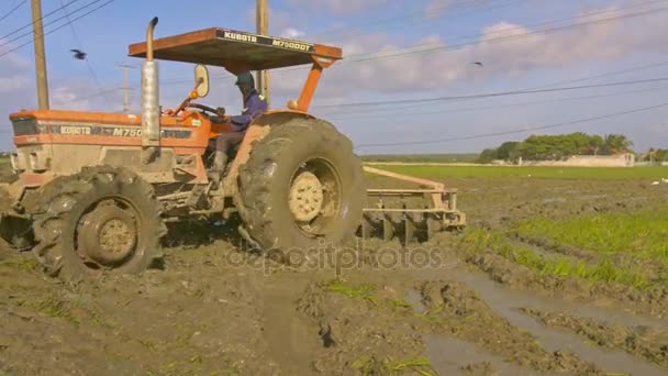 Nha Trang Vietnam Kasım 2017 Closeup Traktör Sürücüsü Taşır Kasım — Stok video