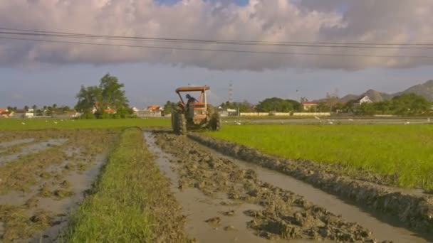 Nha Trang ベトナム 2017 日ニャチャンの遠い村の家や丘に対する湛水土壌の田んぼにカメラに近づくトラクター — ストック動画