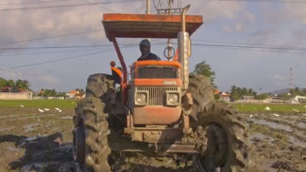 Nha Trang Vietnam Listopadu 2017 Detailní Asijské Pracovníka Obvazem Tváři — Stock video