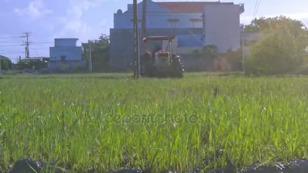 Nha Trang ベトナム 2017 クローズ アップ熟練したトラクター ドライバー プラウ 日ニャチャンの建物に対する太陽を灼熱の下で鳥の飛行の中で緑の田んぼ — ストック動画