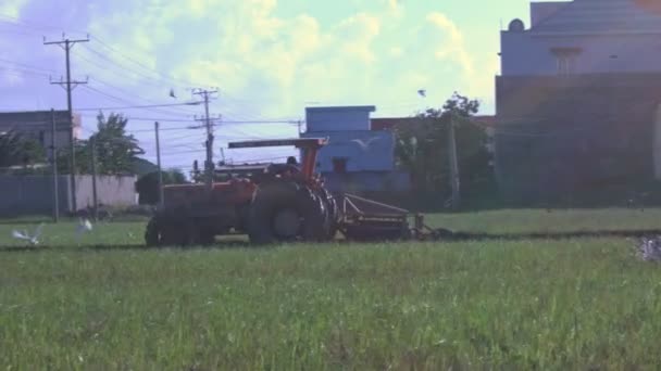 Nha Trang Vietnam November 2017 Traktor Fährt Auf Grünem Reisfeld — Stockvideo