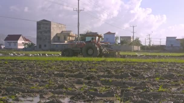 Nha Trang Vietnam November 2017 Tractor Modern Plow Moves Rice — Stock Video