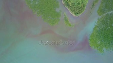 Flycam görüntülemek tarafından huzurlu okyanus sualtı dünyasını karakterize tarafından yüksek biyolojik çeşitlilik ile yıkanmış uçsuz bucaksız yeşil Adaları