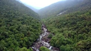 rocky river orman hills sisli ufuk karşı arasında akış ile resimsel gorge dron taşır