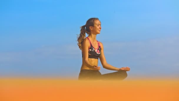 Feliz Pacífico Yoga Practicante Mujer Con Ondulación Por Viento Pelo — Vídeos de Stock