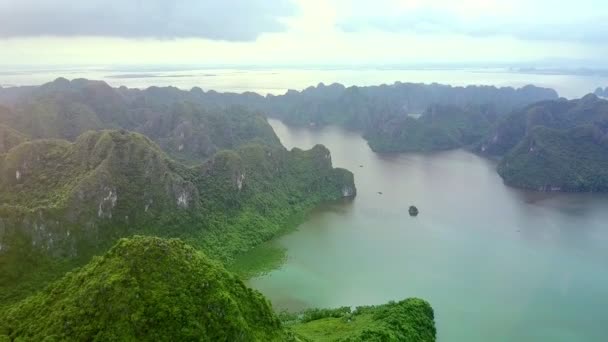 Dronen Stiger Stor Fjord Long Bay Unesco Kulturarv Mellom Grønne – stockvideo