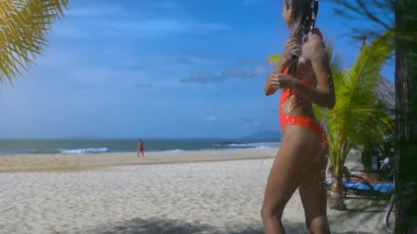侧面景色美丽的女孩在沙滩上沐浴在异国情调的树木对无边的蓝色海洋 — 图库视频影像