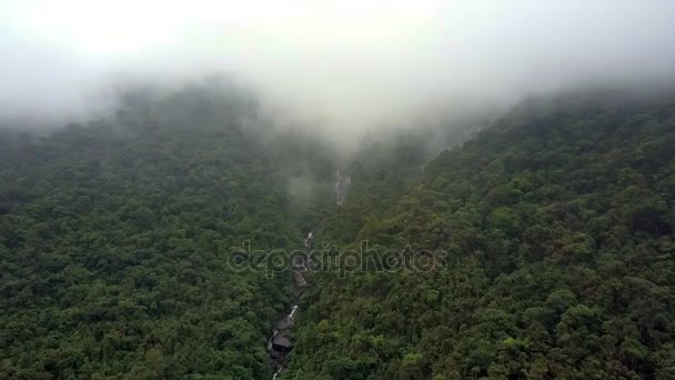 熱帯の森とバック グラウンドで深い霧に覆われた山の高速川上絵空撮 — ストック動画