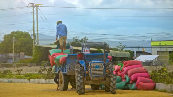 Nha Trang Vietnam November 2017 Local Workers Hats Masks Unload — Stock Video