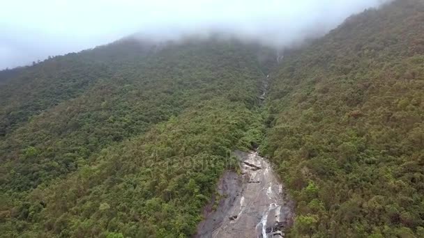 Tepelerde Tropikal Ormanlar Derin Sis Arasında Düz Taş Kanyon Bölümü — Stok video