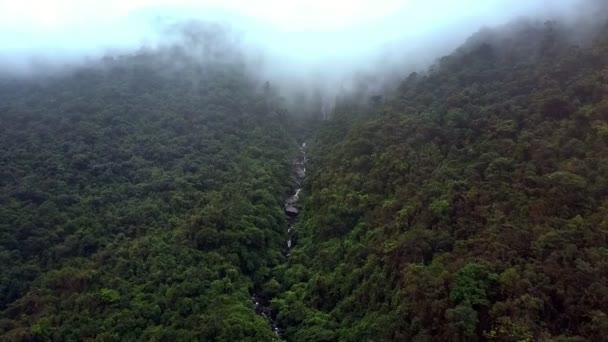 ドローンは霧の日に無限の熱帯ジャングルの中で岩の多い川と林業峡谷上高上昇します — ストック動画