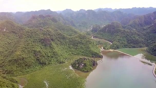 Magnifica Vista Drone Belle Isole Collinari Con Giungla Strada Che — Video Stock