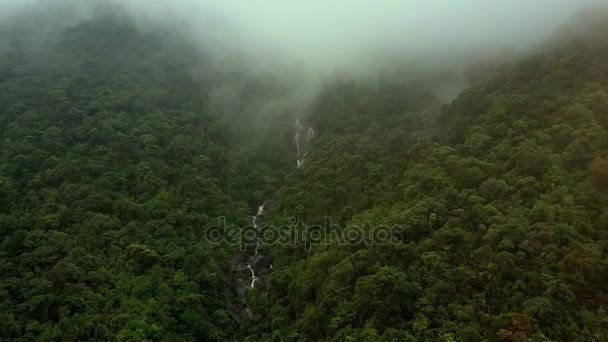 Obrazowym Ptaka Głębokie Mgła Opada Dół Kanion Szybkie Górskiej Rzece — Wideo stockowe