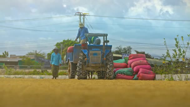 2017年11月26日 越南工人将从拖拉机拖车上卸下的大米袋卸到地上 反对在11月26日在芽庄市沿村道红巴士行驶 — 图库视频影像