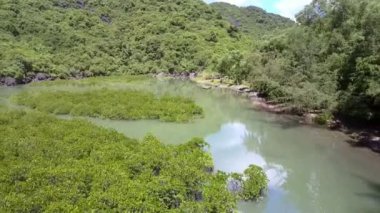 Drone resimsel Asya bay uncial doğal bölge ile ünlü üzerinde su tesisleri alanı boyunca tekne ile plaj taşır