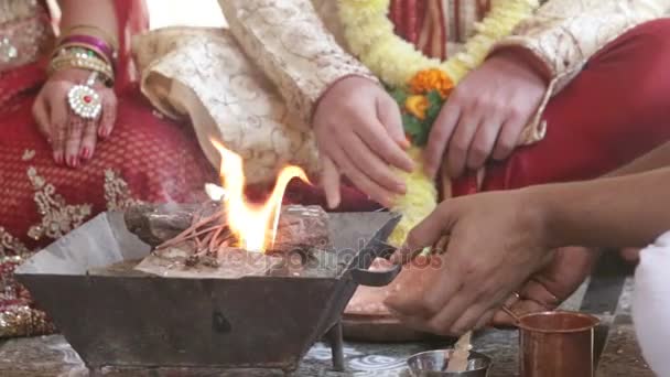 インドの女性がクローズ アップ鍋に薪を設定し 新婚夫婦に対して浄化儀式前にティー スプーンで種をスロー — ストック動画