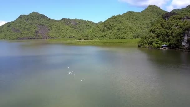 Yukarıda Yeşil Adaları Mavi Gökyüzü Bulutlu Karşı Masmavi Sessiz Bay — Stok video