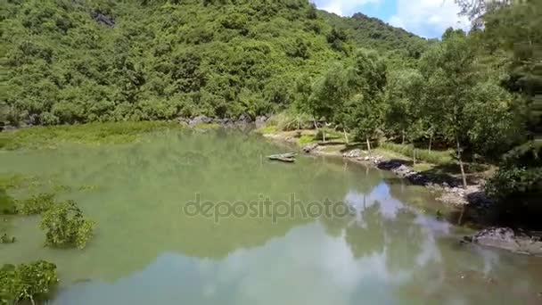 Drone Remove Acima Maravilhosa Baía Verde Com Árvores Água Barcos — Vídeo de Stock