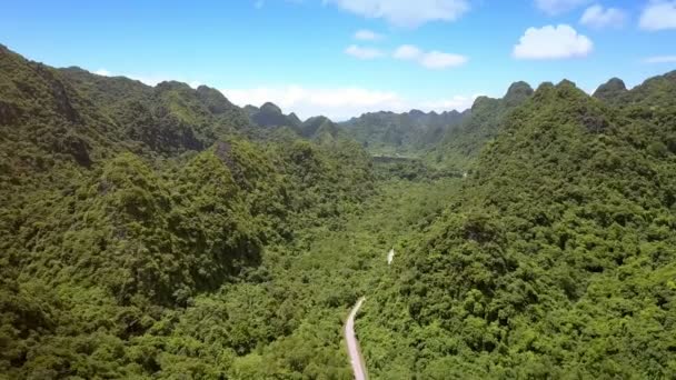 林業山の中で緑の渓谷に沿って緑の丘の麓の素晴らしい空撮長い近代的な道路蛇行 — ストック動画