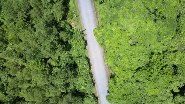 Drone Döner Tropikal Ormanda Vahşi Yeşil Vadi Arasında Uzanan Boş — Stok video
